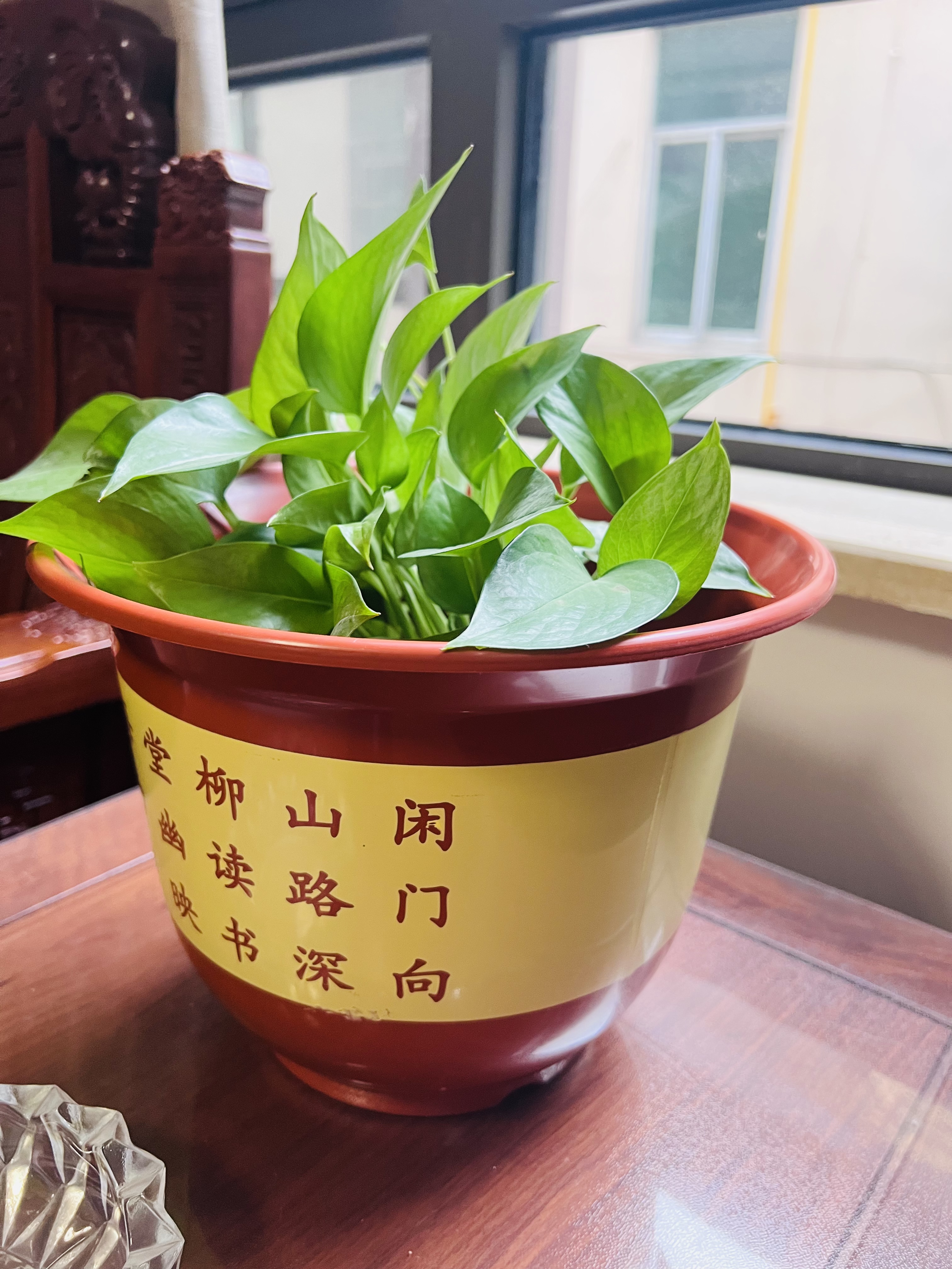 九千谷 塑料花盆 仿陶瓷山水花盆3个装家用花盆 口径23cm不含托盘4061 实拍图