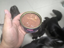 麦富迪 猫罐头 宠物猫咪零食猫湿粮罐头 吞拿鱼鲭鱼味 170g*24 实拍图