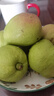 京鲜生 新疆库尔勒香梨 净重5斤 一级 单果100g-120g  生鲜水果 实拍图