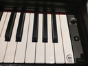艾茉森（Amason）珠江钢琴88键电钢琴重锤立式成人儿童初学家用考级电子钢琴ADP125 实拍图