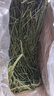 喜帅 精品烘干提摩西草500g 提草荷兰猪龙猫兔子磨牙牧草兔粮 实拍图
