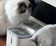 Panasonic松下宠物抑菌饮水机猫咪饮水机自动循环 猫咪喂水机【小笑脸】 实拍图