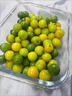 京逸现货现摘李子新鲜三月李应季青李子酸脆珍珠李三华李孕妇水果整箱 1斤|小果【单果约5毛硬币大】 现摘现发+辣椒盐 实拍图