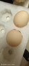 京鲜生柴鸡蛋30枚 3斤 无抗生素 谷物喂养鲜鸡蛋 源头直发 实拍图