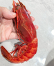 哆鲜生 超大红魔虾 远洋捕捞胭脂魔鬼鲜活冷冻生腌刺身级生鲜虾类年货礼 特大号 5-6条/盒 300g(净重) 实拍图