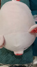 名创优品（MINISO）小猪B-BO弹力超柔趴姿毛绒公仔玩偶抱靠枕玩具情人节礼物新年礼物 实拍图