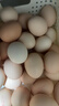 京鲜生可生食标准鲜鸡蛋30枚礼盒装3斤 源头直发 实拍图