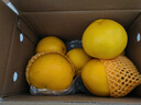 京鲜生 爆汁黄金葡萄柚 净重5斤 单果300g起 生鲜年货水果    实拍图