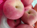 京鲜生 山东栖霞红富士苹果精品12粒 单果190g-240g  水果礼盒 实拍图