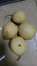 京喜加赵州水晶鸭梨新鲜水果产地直发【六】单果180g起 带箱2斤净重1.6-1.8斤 实拍图