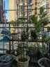 家用园艺爬藤花支架植物爬藤架月季铁线莲攀爬组合花架阳台花支架 支架直径20高120一套 实拍图