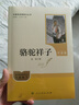 骆驼祥子（升级版）人教版名著阅读课程化丛书 七年级下册 与25春新版初中语文教材配套使用（含微课，从教学角度讲解名著；含阅读笔记本，提供测评指导帮助提升整本书阅读能力） 实拍图
