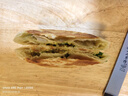 大希地 韭菜鸡蛋馅饼1040g 10片装 手抓饼葱油饼 早餐半成品 烘焙方便菜 实拍图