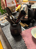 京东京造茶具配件 茶道六君子套装功夫茶具福顺黑檀实木茶针养壶笔茶夹 实拍图