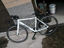 喜德盛公路自行车25款RC200成人车14速变速车 白灰700C*510MM 实拍图