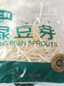 绿豆芽200g 实拍图