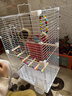 贝初众鸟笼鹦鹉专用鸟笼子大号生态别墅带洗澡站架鸟窝八哥虎皮鸟笼用品 珍珠白-新升级豪华套餐12件套 养鸟人的必备鸟笼 加高加密加固款 【大空间不拘束】 实拍图