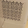 多乐信（DOROSIN）除湿机/抽湿机 除湿量21升/天 42㎡家用轻音地下室干衣除湿吸湿器 回南天干燥机ER-20 实拍图