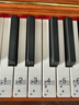 贝琪（Betsy）B351电钢琴88键重锤成人儿童电子钢琴家用练习初学者专业考级钢琴 B351-重力度88键木纹棕 实拍图