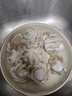 美加佳三去小章鱼净重2斤（500g*2袋）16-26只 去脏八爪鱼 年货聚餐 实拍图
