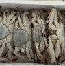 【冷冻】至鲜梭子蟹2.6斤/6-8只整只当季液氮冷冻3-5两/只吕四黄海海鲜螃蟹新鲜年货礼 实拍图