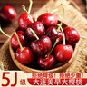 京地达大连美早大樱桃国产车厘子5J级净重1斤新鲜年货水果源头直发包邮 实拍图