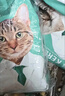 凯锐思 天然猫粮 成猫粮 鱼肉海洋鱼深海鱼天然粮 成猫10kg 实拍图