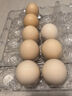 1号会员店富硒鲜鸡蛋30枚 源头直发 净重3斤 实拍图