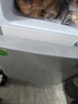 华宝小冰箱小型家用出租房用冷藏冷冻两用一级能效节能省电迷你宿舍寝室办公室二门电冰箱 【店长推荐】48L银色【三天不到一度电】 实拍图