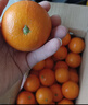 果果牛湖南麻阳冰糖橙 应当季新鲜水果手剥甜橙子高山夏脐血多汁 可选 净重9斤(单果60-65mm)推荐 实拍图
