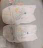 帮宝适超薄透气清新帮拉拉裤新生儿婴儿尿不湿尿片透氧Pro M50 实拍图