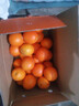 玖原农珍 赣南脐橙新鲜橙子含箱10斤净重9斤优选果150-300g 年货水果礼盒 实拍图