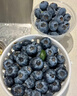 晟容果蔬云南花香蓝莓【空运-多地次日达】孕妇当季鲜果应季新鲜水果送礼 金奖·巨无霸 | 单果20-26mm 6盒装【甄选品质-巨划算】100g/盒 实拍图