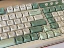 狼蛛（AULA）S99无线蓝牙有线三模键盘机械手感 游戏电竞专用 99键 RGB背光拼色静音键盘鼠标套装mac电脑键盘 S99原野绿【三模/RGB】 实拍图