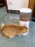 霍曼（Homerun）Real智能自动喂食器猫粮定时猫猫咪自动投食机PF20（不锈钢碗） 实拍图