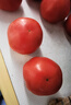 番茄约500g 实拍图