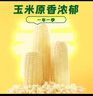 十月稻田 白糯玉米 8根 4.16斤 东北甜粘玉米 非转基因 低脂早餐 实拍图