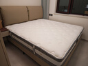 芝华仕床垫D026明星垫90%高纯度乳胶独袋弹簧席梦思家用1.8x2米软硬适中 实拍图