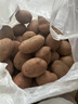 【真便宜】红皮土豆高原黄心土豆马铃薯红皮黄心洋芋 蔬菜水果 红皮土豆 9斤 净重 单果1-3两 实拍图