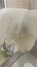 美丽雅丁腈手套1双均码加长33cm橡胶洗碗洗衣洗菜清洁家务加厚丁晴手套 实拍图