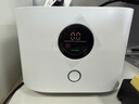 UORRIS德国欧瑞氏空气净化器除甲醛除烟味新房家用桌面办公室小型负离子除异味过敏原鼻炎哮喘花粉神器 清新白 【含耗材丨除醛率99%】 实时检测丨主动捕捉丨效果可视化 实拍图