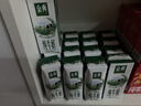 伊利【新鲜日期】金典纯牛奶整箱 250ml*16盒 3.6g乳蛋白 年货礼盒装 实拍图