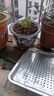 绣球花苗无尽夏带花苞四季开花绣球花盆栽庭院好养花卉植物室内花 烈焰【大花绣球-可调色】 小苗【隔年开花】原盆宽11cm高18cm冠12cm 实拍图