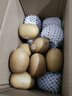 佳沛【JD闪送】新西兰奇异果阳光金果黄心猕猴桃年货节送礼品水果礼盒 12颗【单果103-113g】礼盒装 实拍图