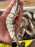 GUO LIAN国联 黑虎虾超大规格斑节虾无冰净重2斤 16-20只高虾青素年货送礼 实拍图