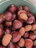 丹东新鲜板栗生栗子当季5斤现摘毛油栗子嫩板栗锥栗整箱生鲜蔬 5斤 【严选大果】净重4.5斤 实拍图