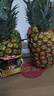 佳农 黑钻菠萝1粒装 菲律宾凤梨 净重2斤起 生鲜水果 源头直发 包邮 实拍图