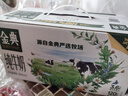 伊利金典纯牛奶营养儿童学生中老年早餐搭档整箱装端午节送礼 5月产纯牛奶200ml*12盒 实拍图