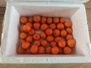 京鲜生 正宗广西砂糖橘礼盒  净重8斤 单果40-55mm年货礼盒源头直发包邮 实拍图