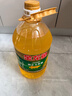 金龙鱼 食用油 非转基因 压榨 一级 纯正玉米油4L（新老包装随机发货） 实拍图